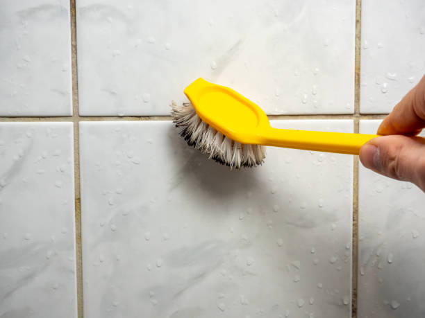 Best Professional Mold Removal  in Ganado, TX