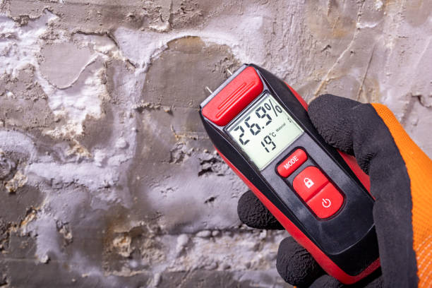 Trusted Ganado, TX Mold Removal Experts