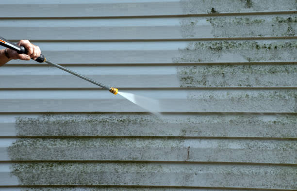 Best Fast Mold Removal  in Ganado, TX