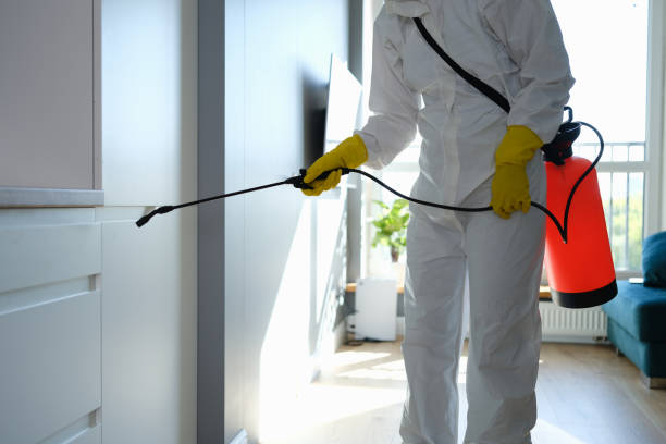 Best Mold Damage Repair  in Ganado, TX