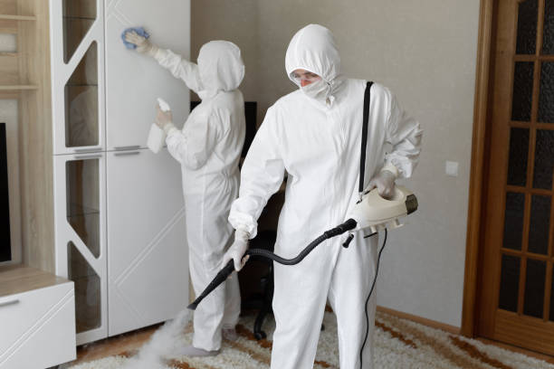 Best Commercial Mold Removal  in Ganado, TX