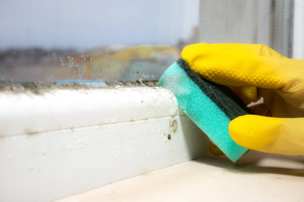 Best Mold Testing  in Ganado, TX